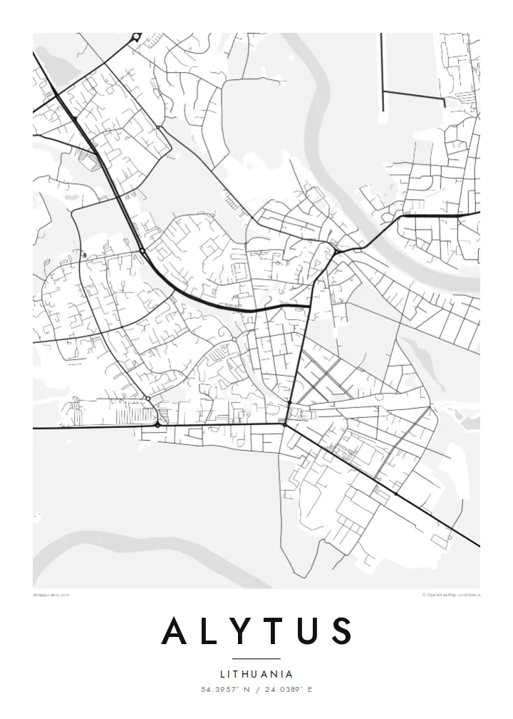 Alytus map poster — Classic