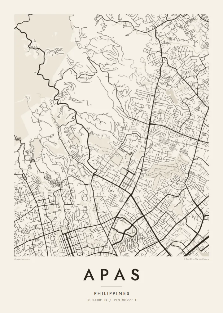 Apas map poster — Paper style