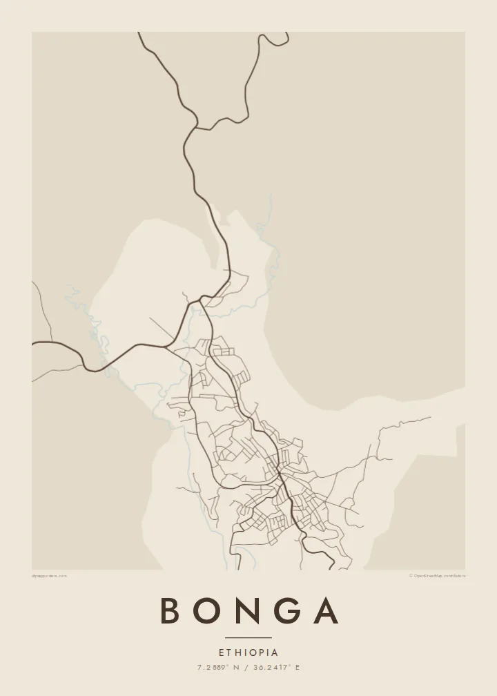 Bonga map poster — Sand style