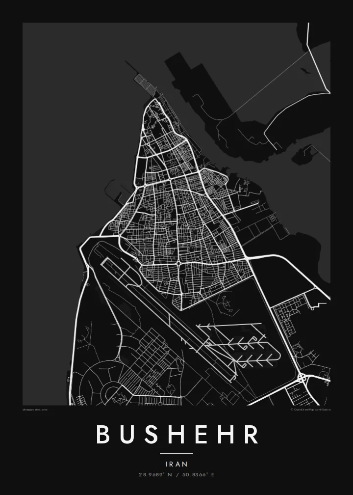 Bushehr map poster — Noir style