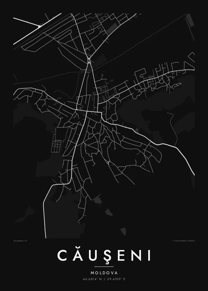 Căuşeni map poster — Noir