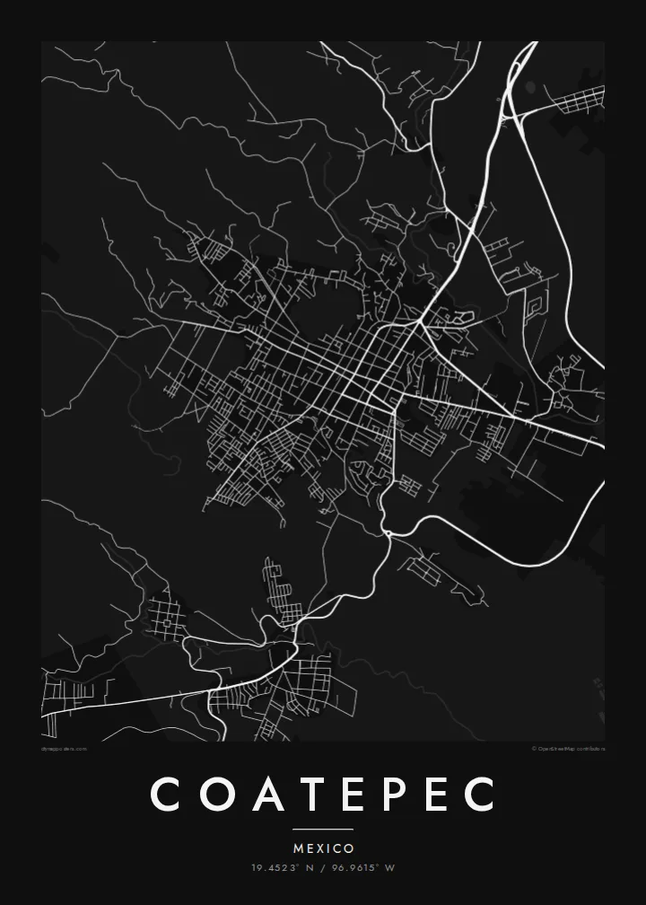 Coatepec map poster — Noir style