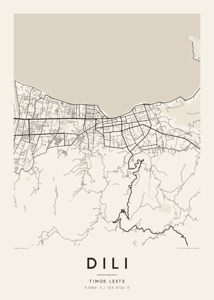 Dili map poster — Paper
