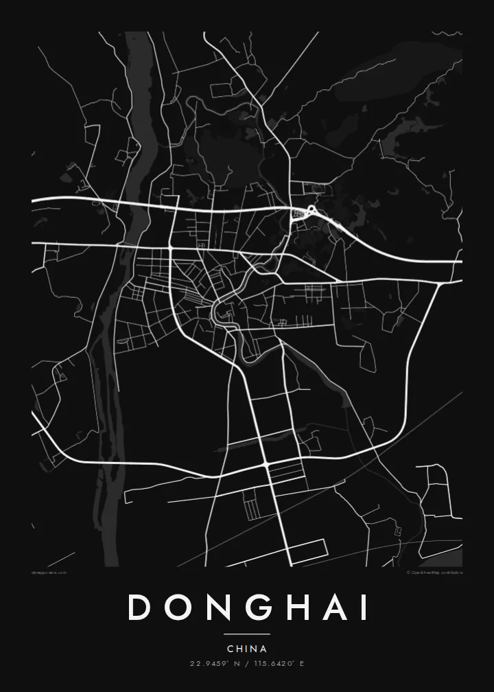 Donghai map poster — Noir style