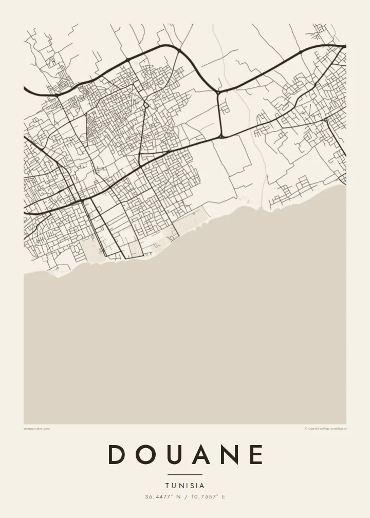Douane map poster — Paper style