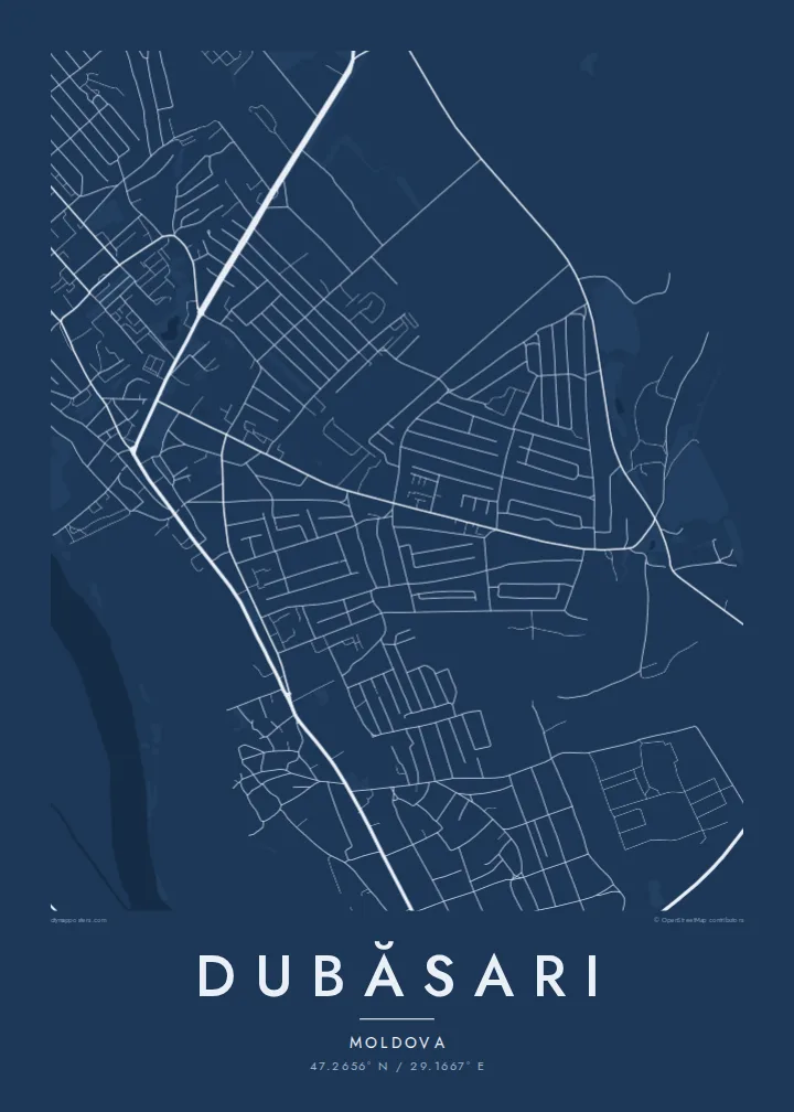 Dubăsari map poster — Blueprint