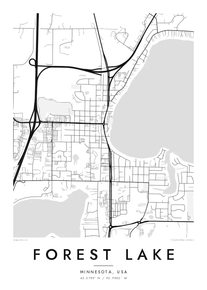 Forest Lake map poster — Classic