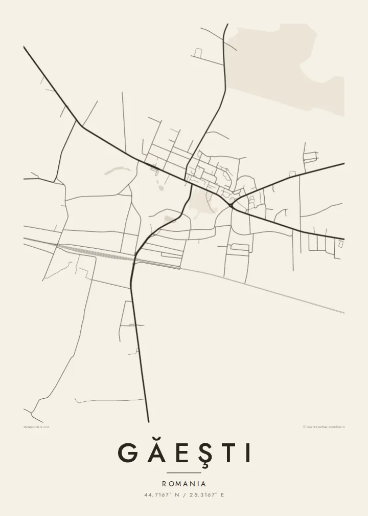 Găeşti map poster — Paper