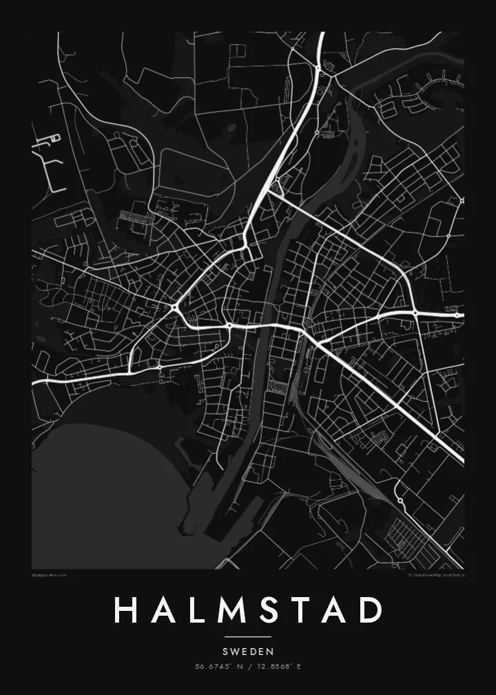 Halmstad map poster — Noir style
