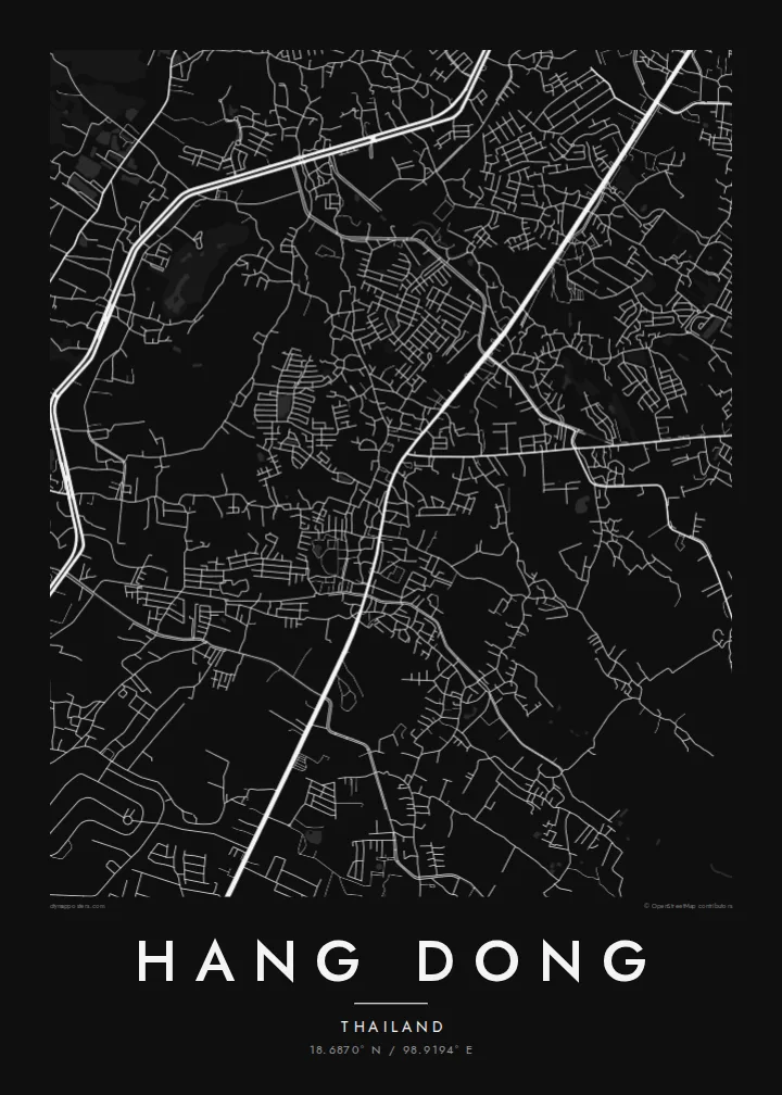Hang Dong map poster — Noir style