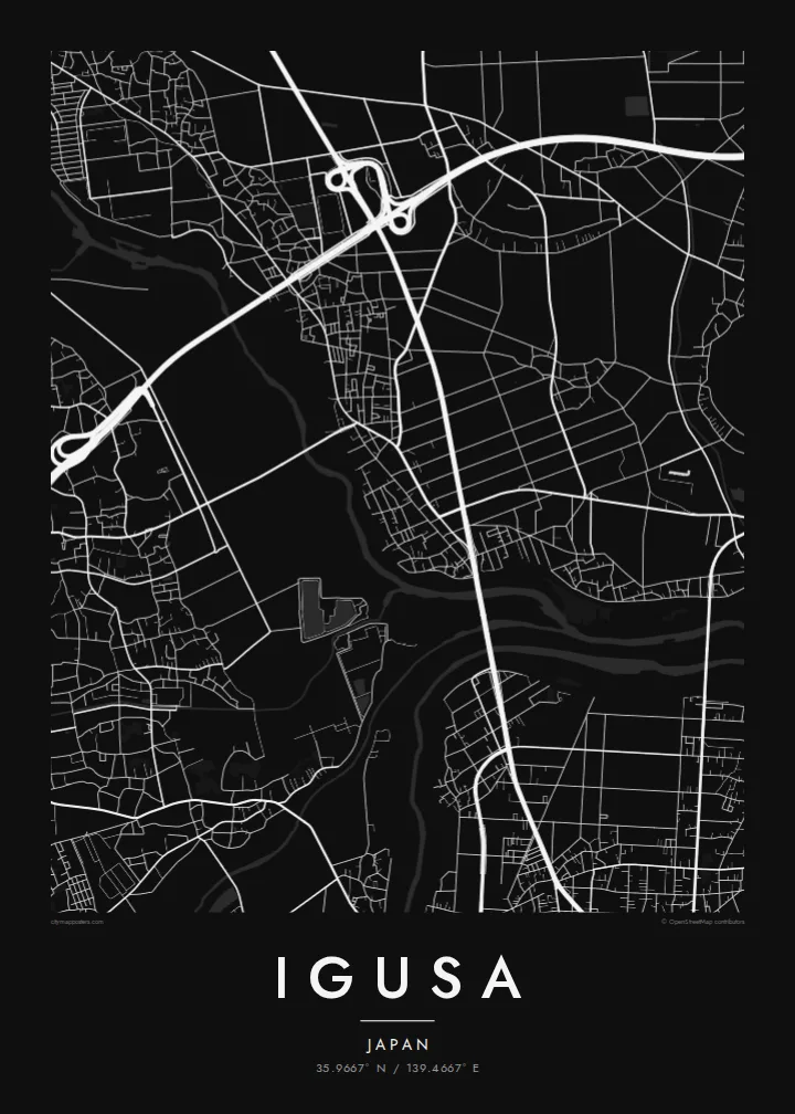 Igusa map poster — Noir