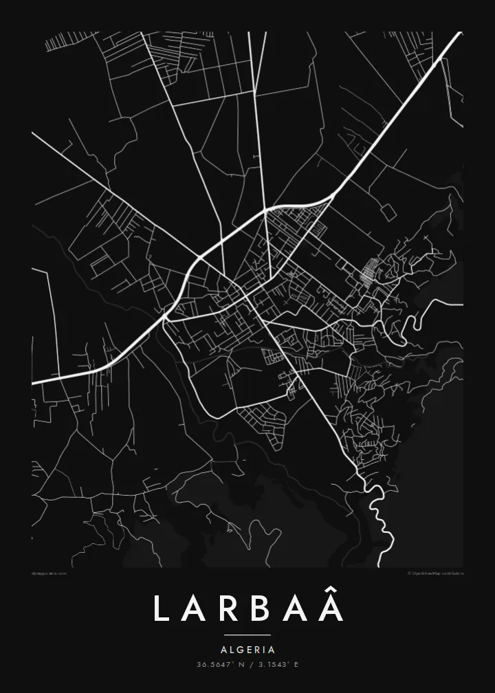 Larbaâ map poster — Noir
