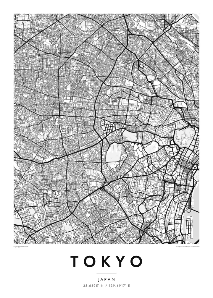 Poster Peta Tokyo — Classic