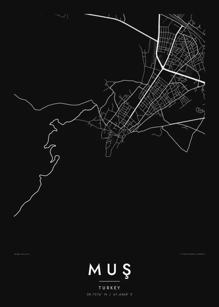 Muş map poster — Noir