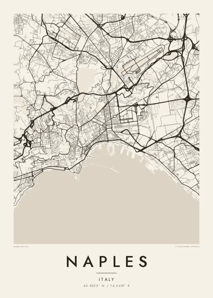 Naples map poster — Paper style