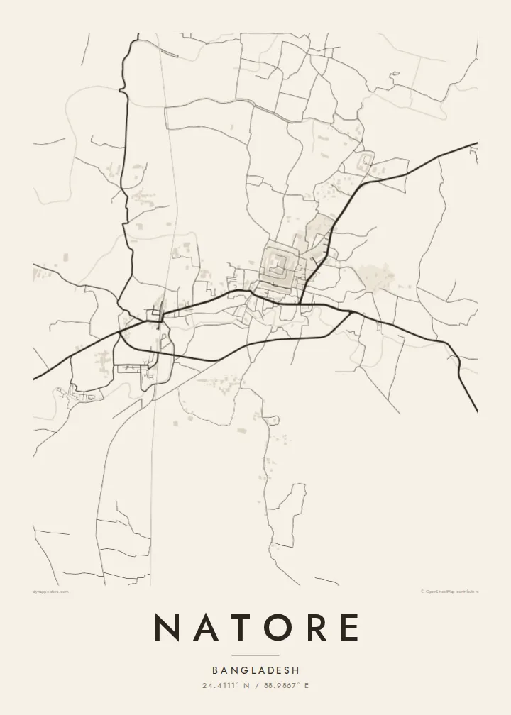 Natore map poster — Paper style