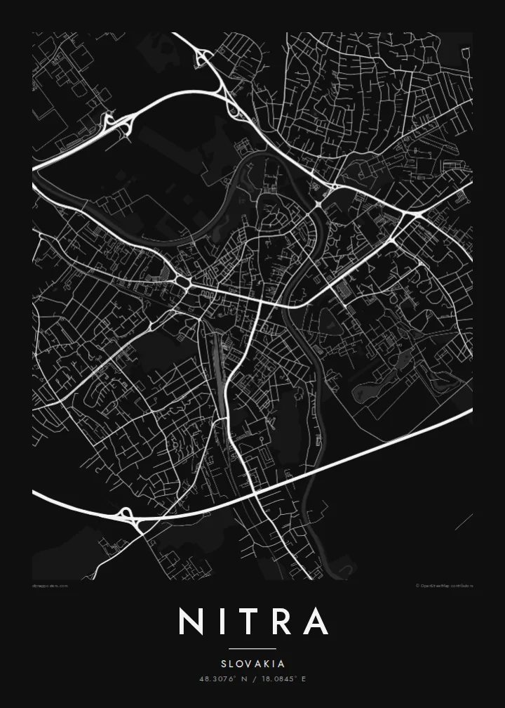Nitra map poster — Noir style