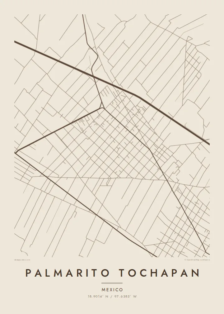 Palmarito Tochapan map poster — Sand style