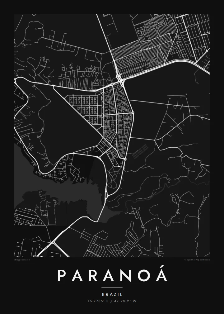 Paranoá map poster — Noir