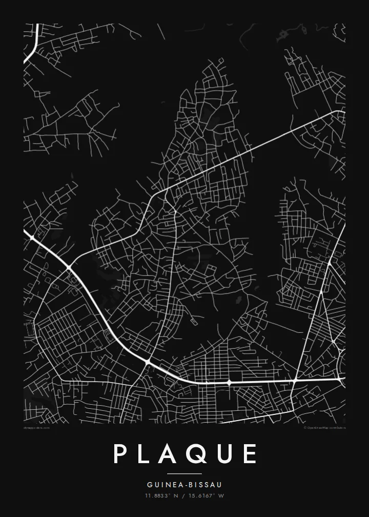 Plaque map poster — Noir style