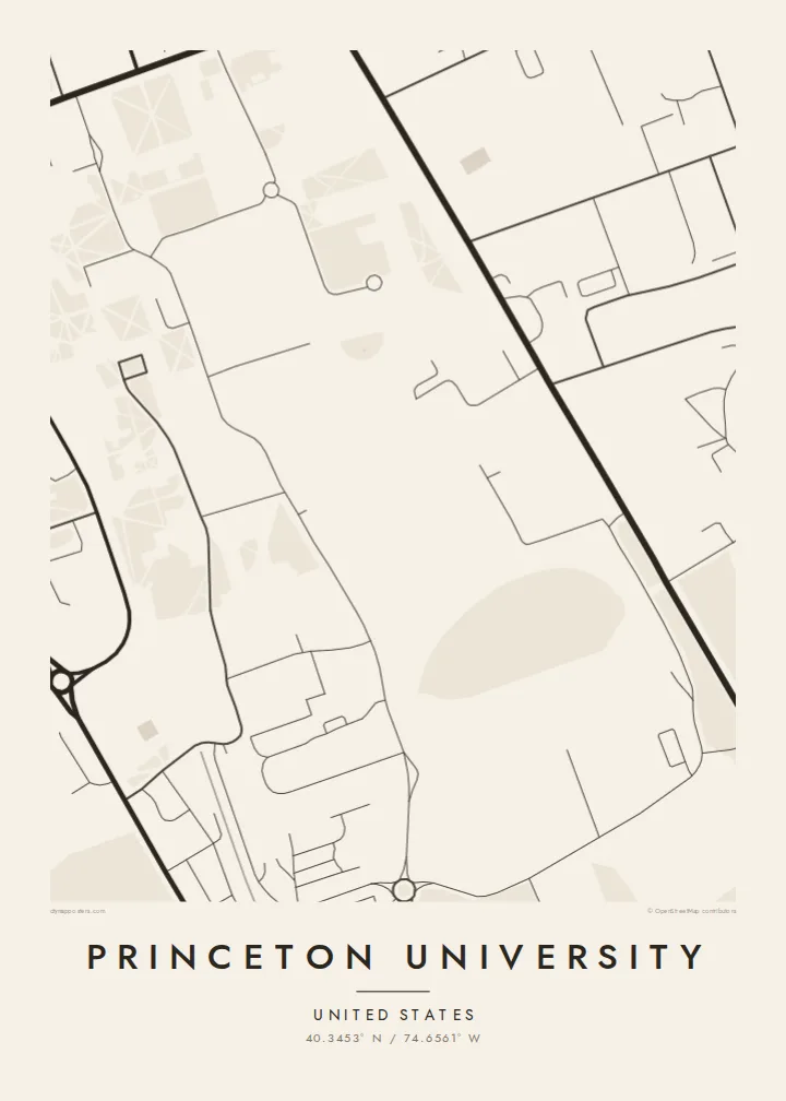 Princeton University map poster — Paper style