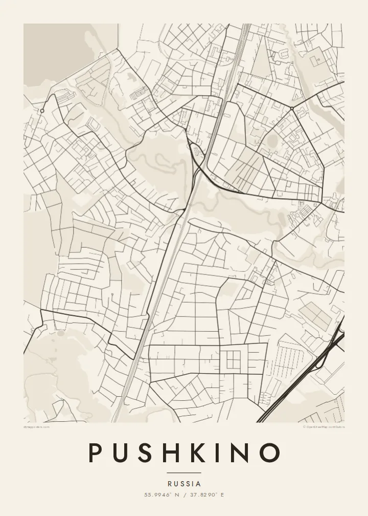 Pushkino map poster — Paper