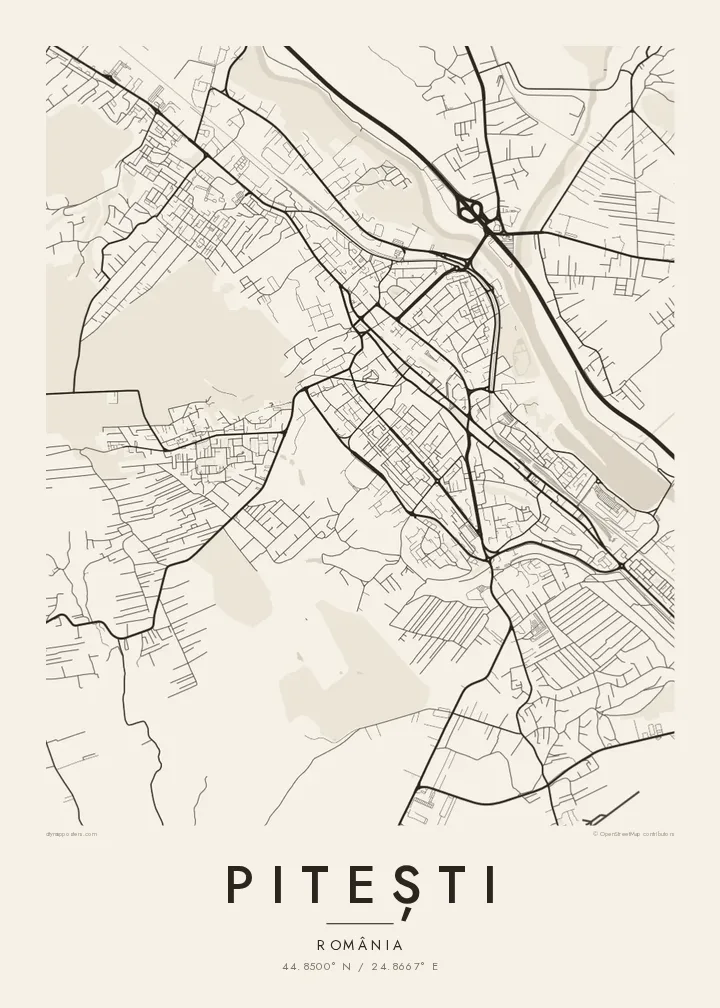 Poster hartă Pitești — Paper
