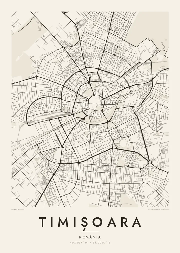 Poster hartă Timișoara — Paper