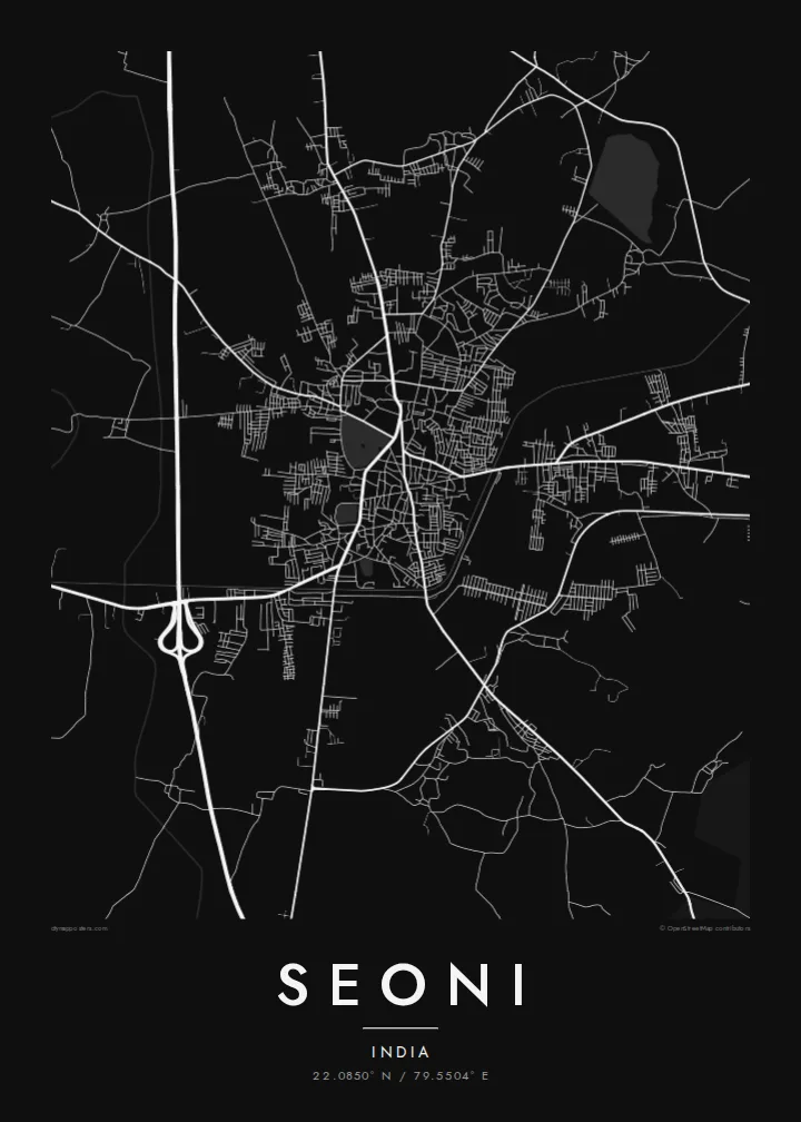 Seoni map poster — Noir style