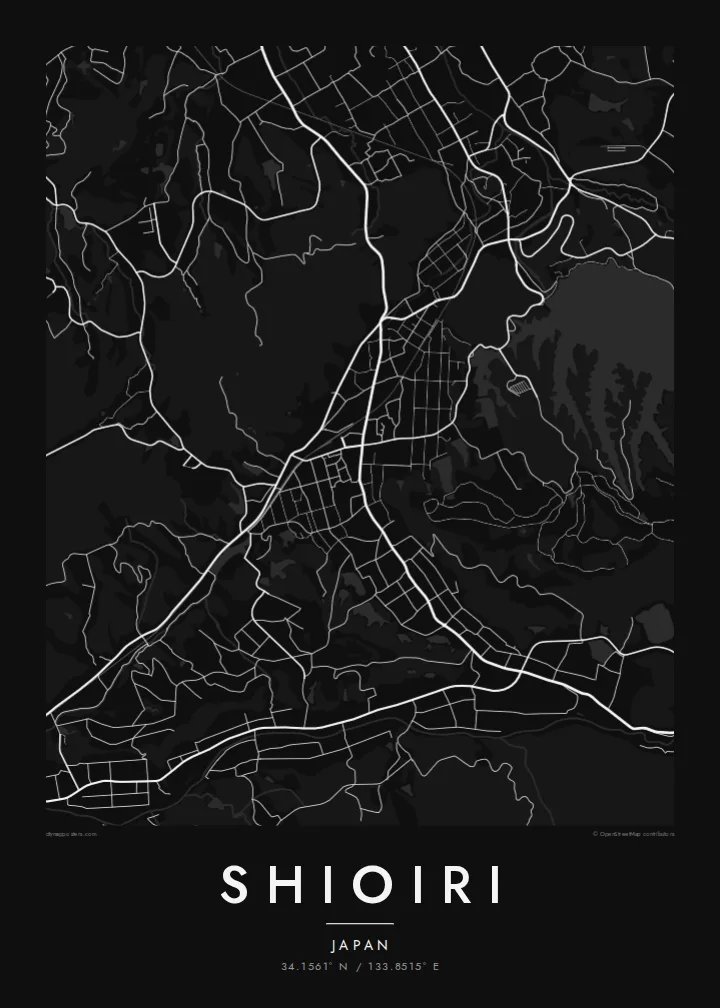 Shioiri map poster — Noir style
