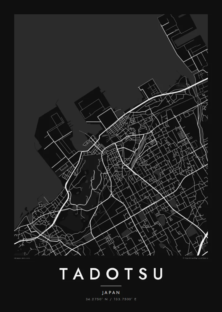 Tadotsu map poster — Noir style