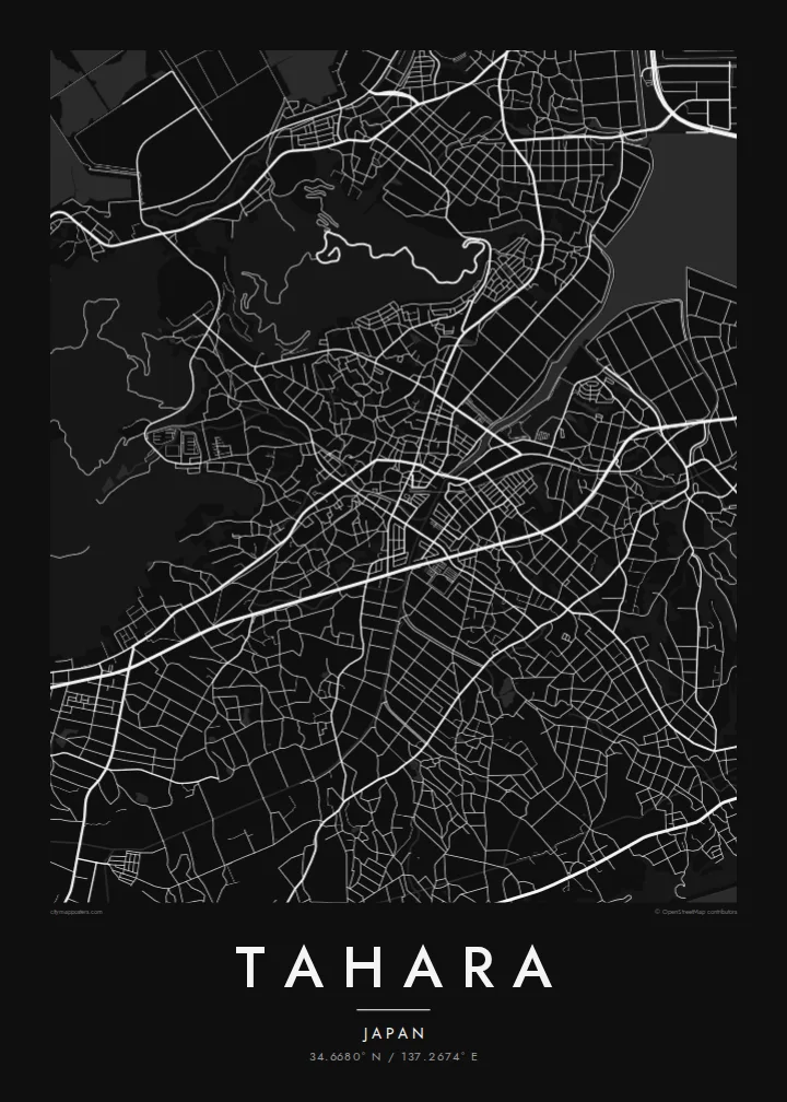 Tahara map poster — Noir style