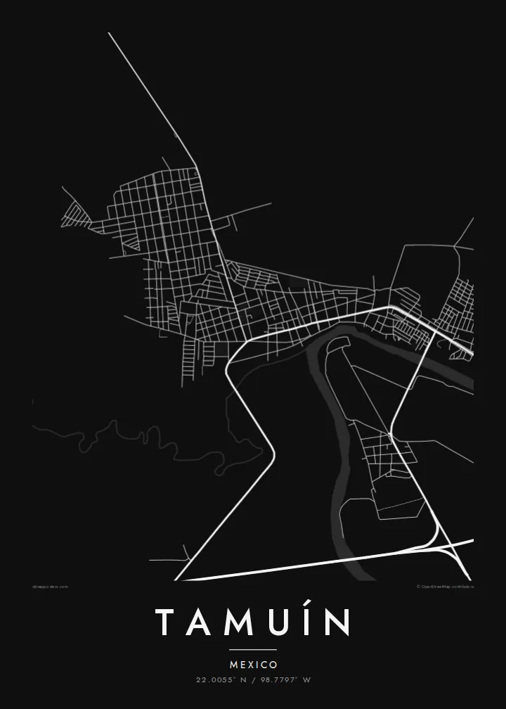 Tamuín map poster — Noir style