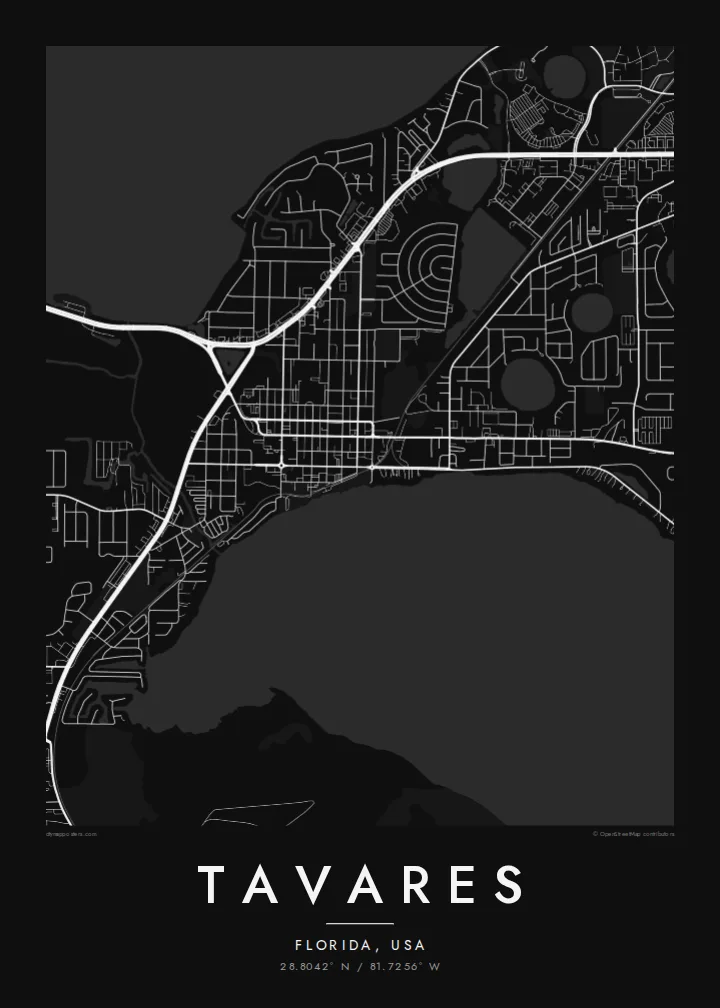 Tavares map poster — Noir style