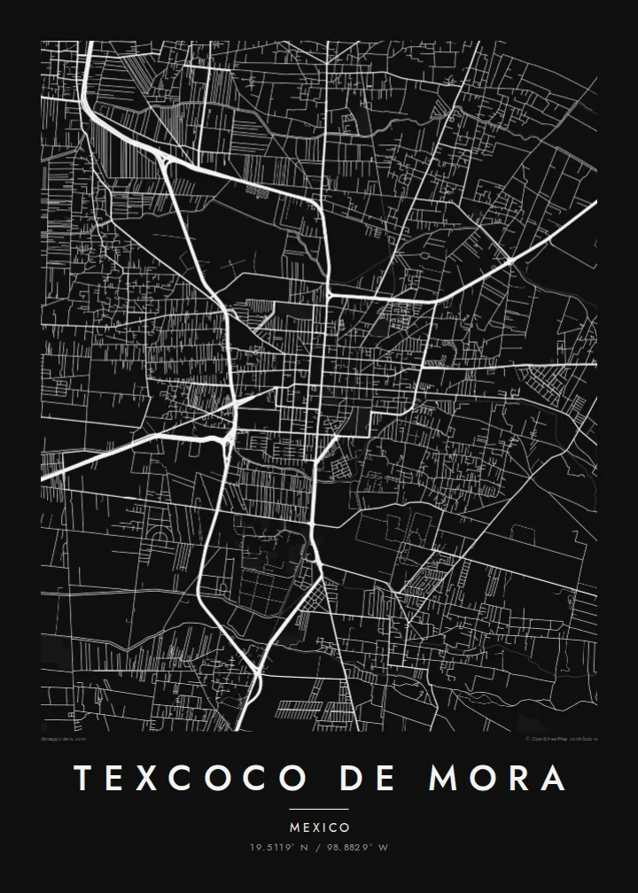Texcoco de Mora map poster — Noir