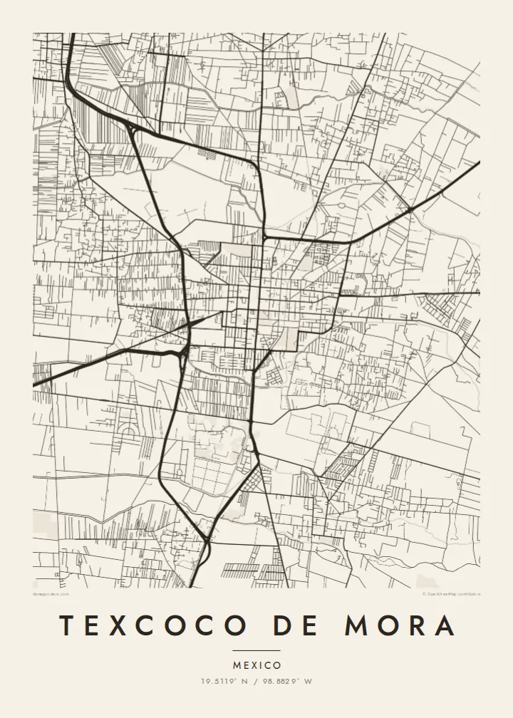 Texcoco de Mora map poster — Paper