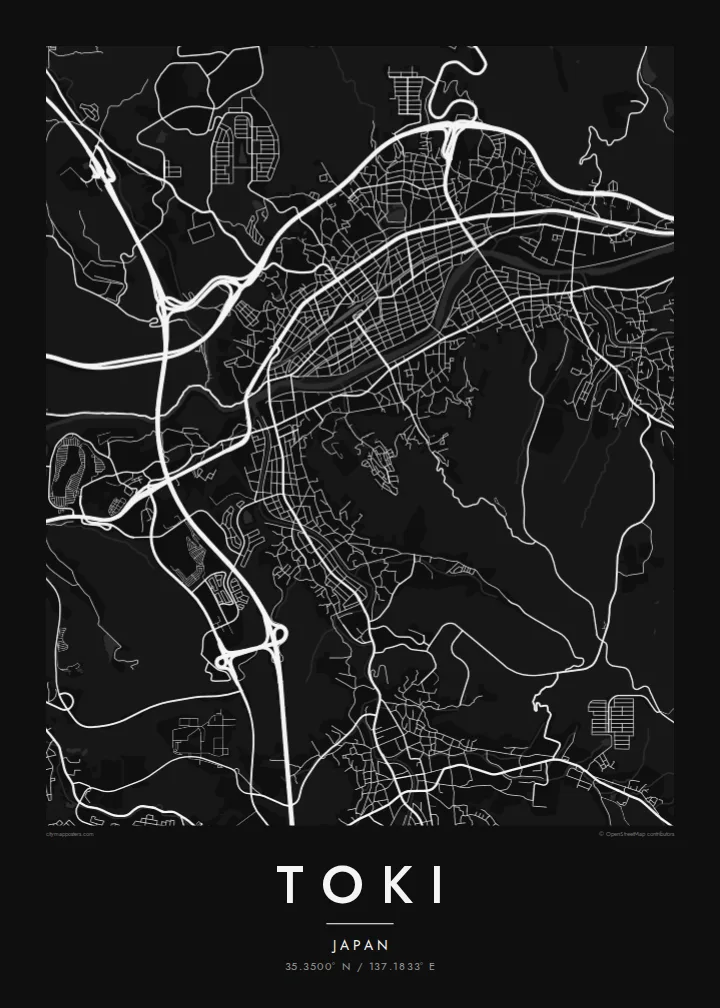 Toki map poster — Noir style