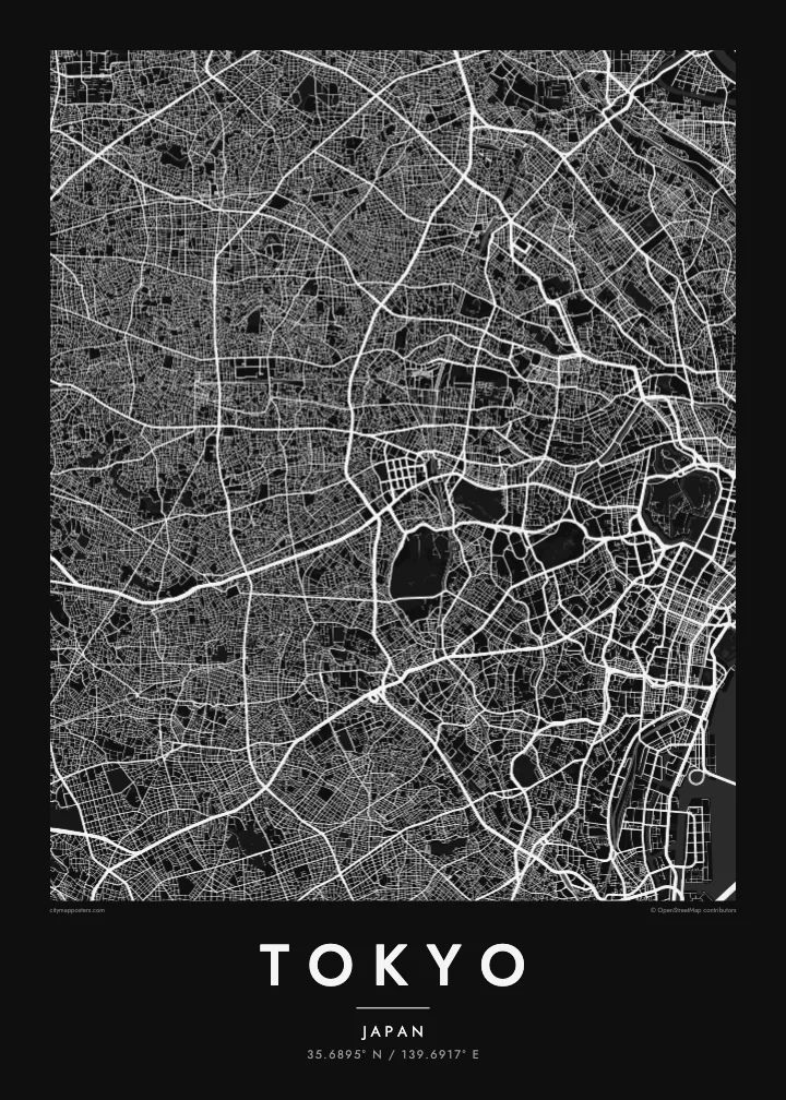 Tokyo map poster — Noir