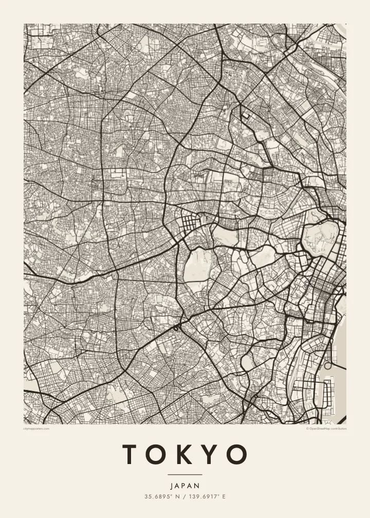 Tokyo map poster — Paper