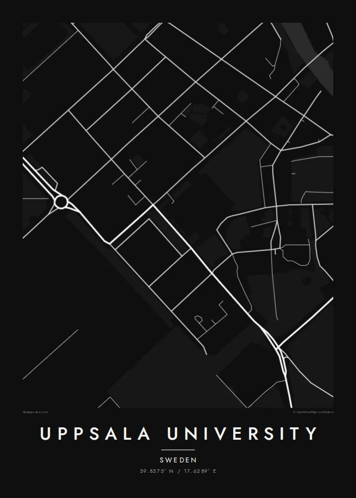 Uppsala University map poster — Noir style