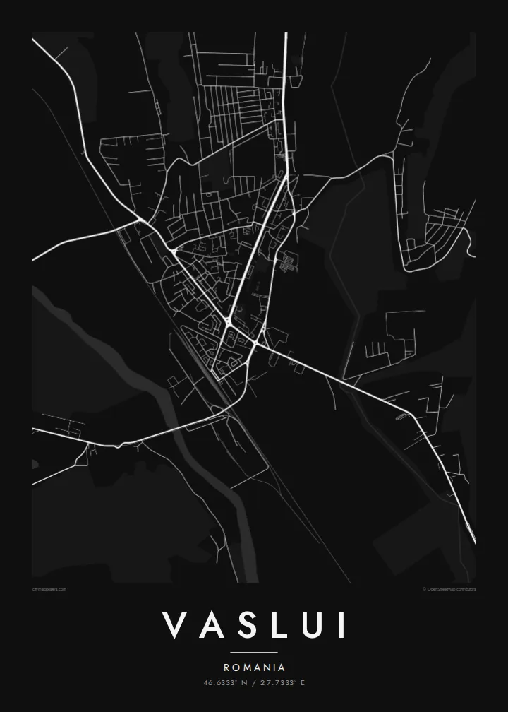 Vaslui map poster — Noir
