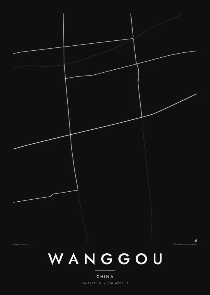 Wanggou map poster — Noir style