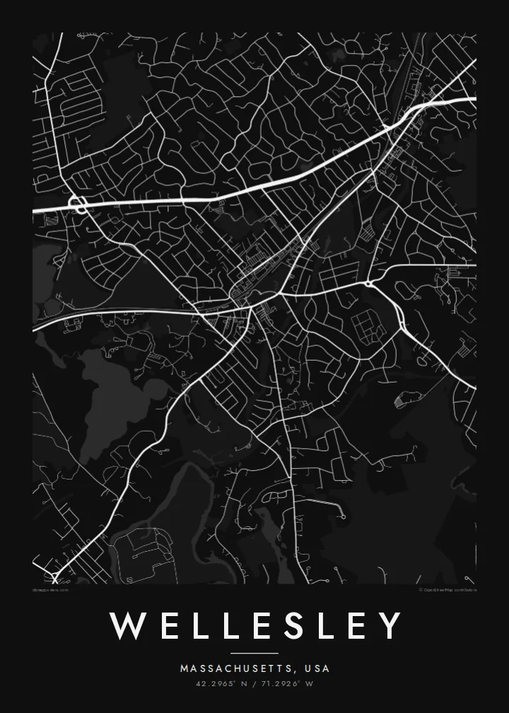 Wellesley map poster — Noir style