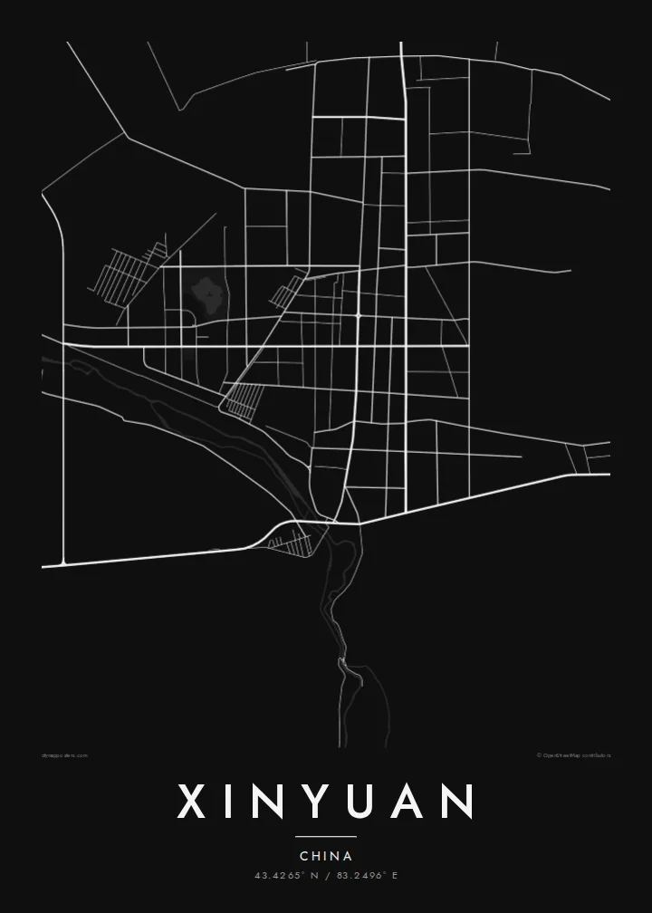 Xinyuan map poster — Noir style
